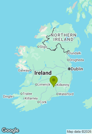 Biewer Terrier for sale in Kilkenny