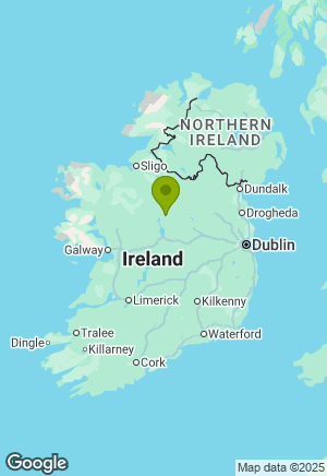Siberian Husky for sale in Longford
