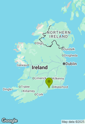 Chihuahua for sale in Waterford