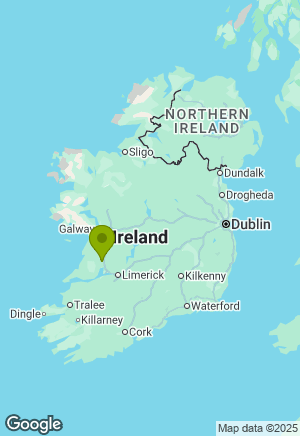 German Shepherd for sale in Clare