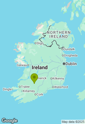 Labrador for sale in Limerick