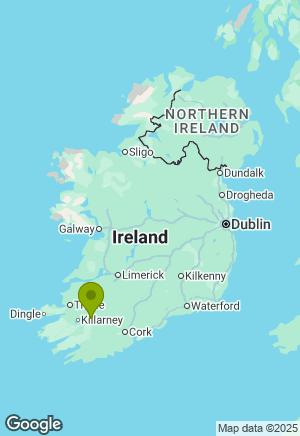 Bernese Mountain Dog for sale in Kerry