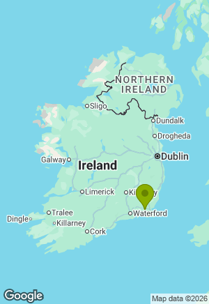 Dachshund for sale in Wexford