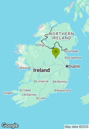 Jack Russell for sale in Meath