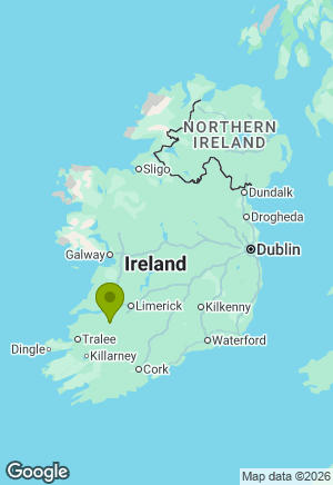 German Shepherd for sale in Limerick