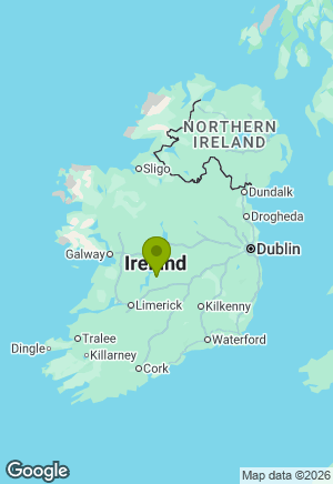 Newfoundland for sale in Tipperary