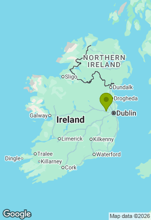 Dachshund for sale in Kildare