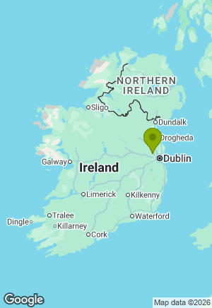 Dachshund for sale in Meath